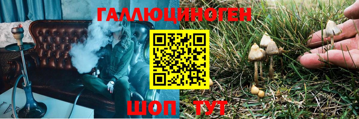 Галлюциногенные грибы MAGIC MUSHROOMS  Вход с VPN  Заводоуковск 