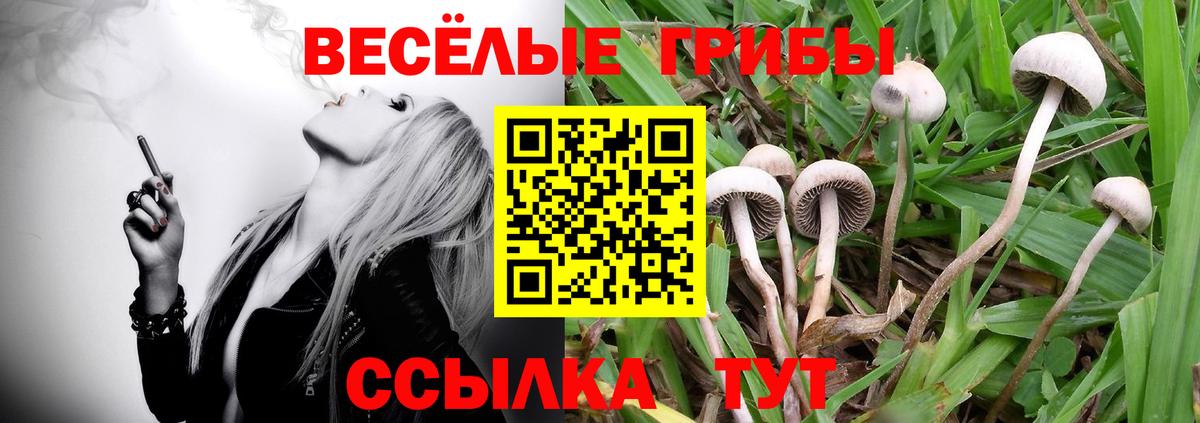 Псилоцибиновые грибы ЛСД Заводоуковск
